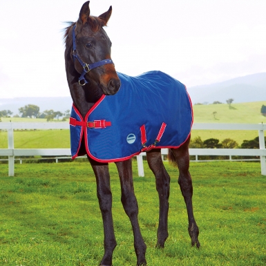 Weatherbeeta Foal Standard Neck Turnout 1200 Denier (RRP ÃÂ£52.99)